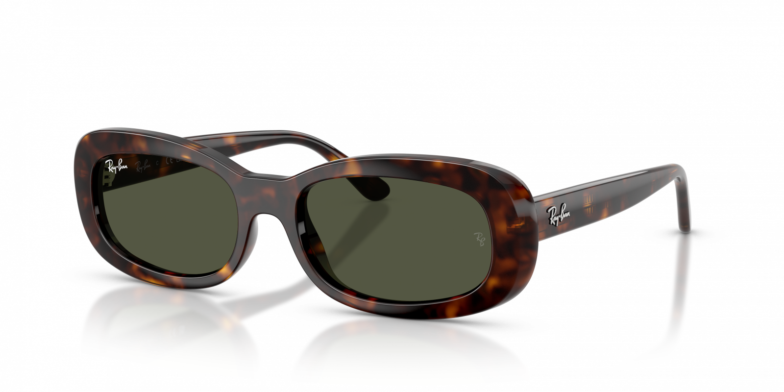Ray Ban RB2221 902/31  